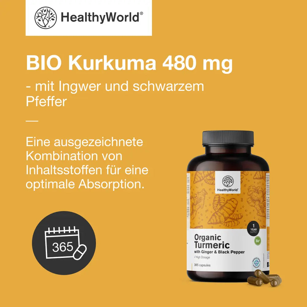 HealthyWorld BIO Kurkuma 480 mg mit Ingwer und schwarzem Pfeffer · 365 Kapseln – Bild 3