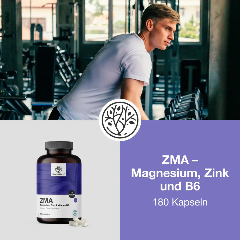 HealthyWorld ZMA · Magnesium, Zink und B6 · 180 Kapseln – Bild 4