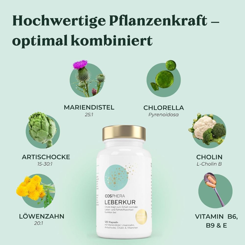 Cosphera Leberkur Kapseln für Leber und Stoffwechsel · 120 Stück – Bild 3