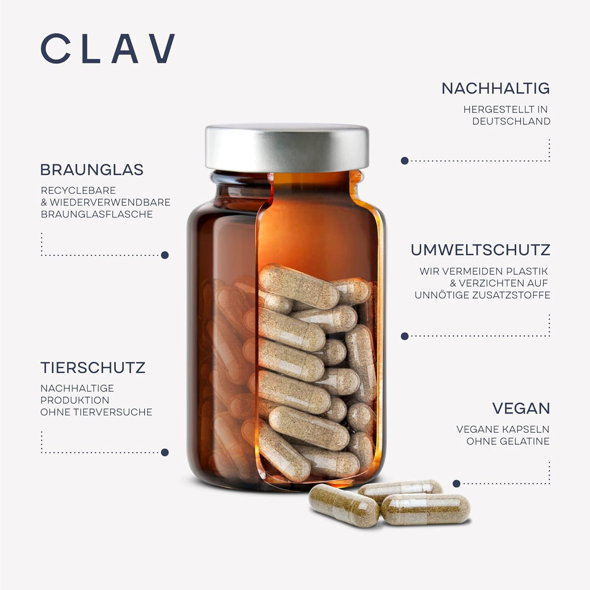 Clav N°15 FLORA mit 23 Bakterienkulturen – Bild 5
