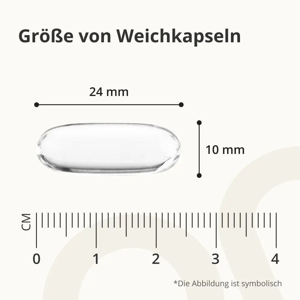 OnEnergy Omega-3 1000 mg aus Fischöl · 360 Weichkapseln – Bild 6