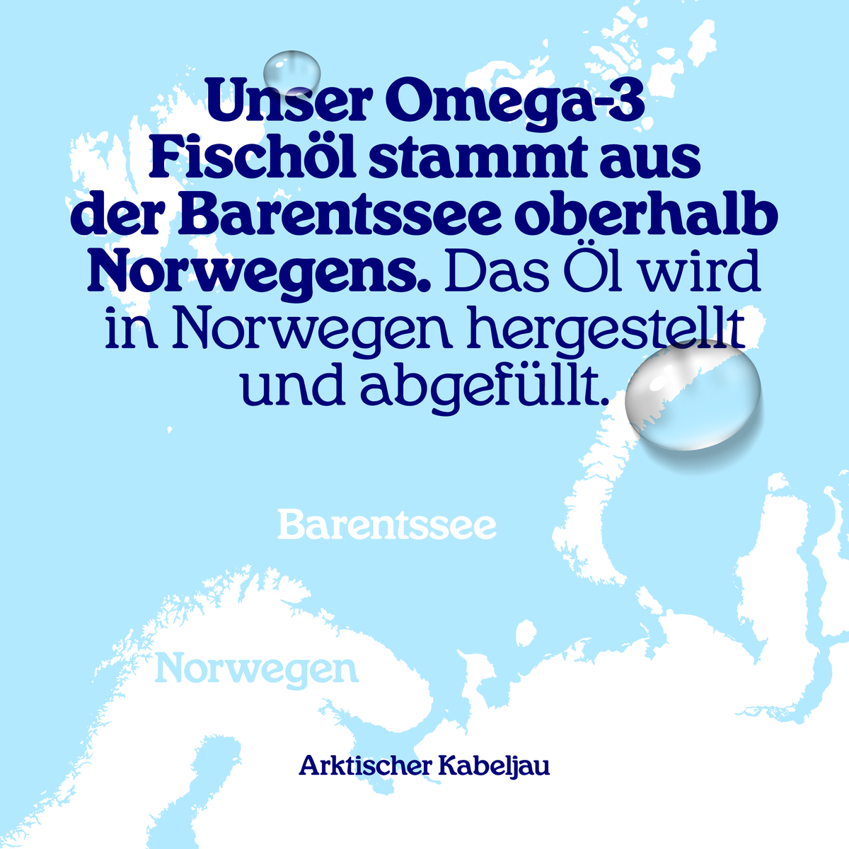 Arctic Blue | Omega 3 Fischöl DHA EPA - 100% Konzentrat - 150 ml