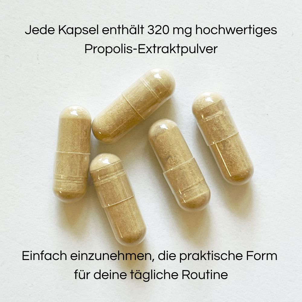 Little Bee Fresh Propolis 320mg Extraktpulver · 60 Kapseln – Bild 3