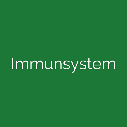 CBD Immunsystem