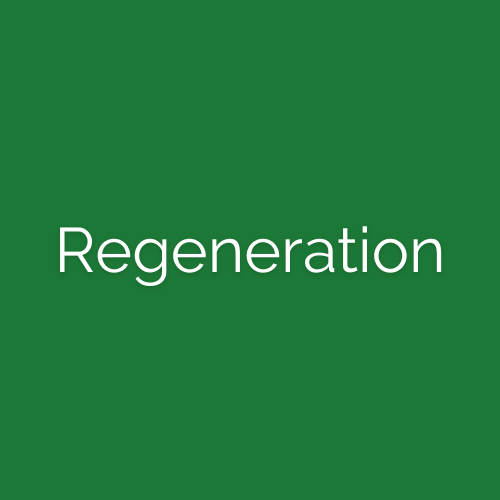 CBD Regeneration