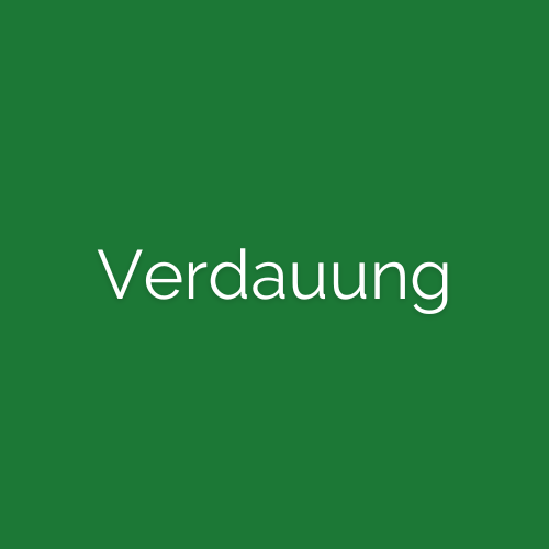 CBD Verdauung