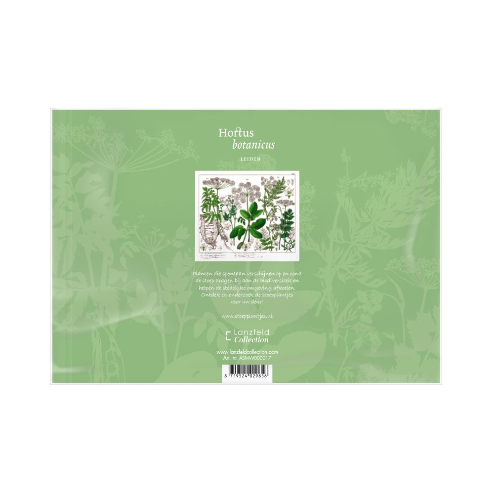 Jonelia Health | Schlafmaske Holunder - Hortus Botanicus