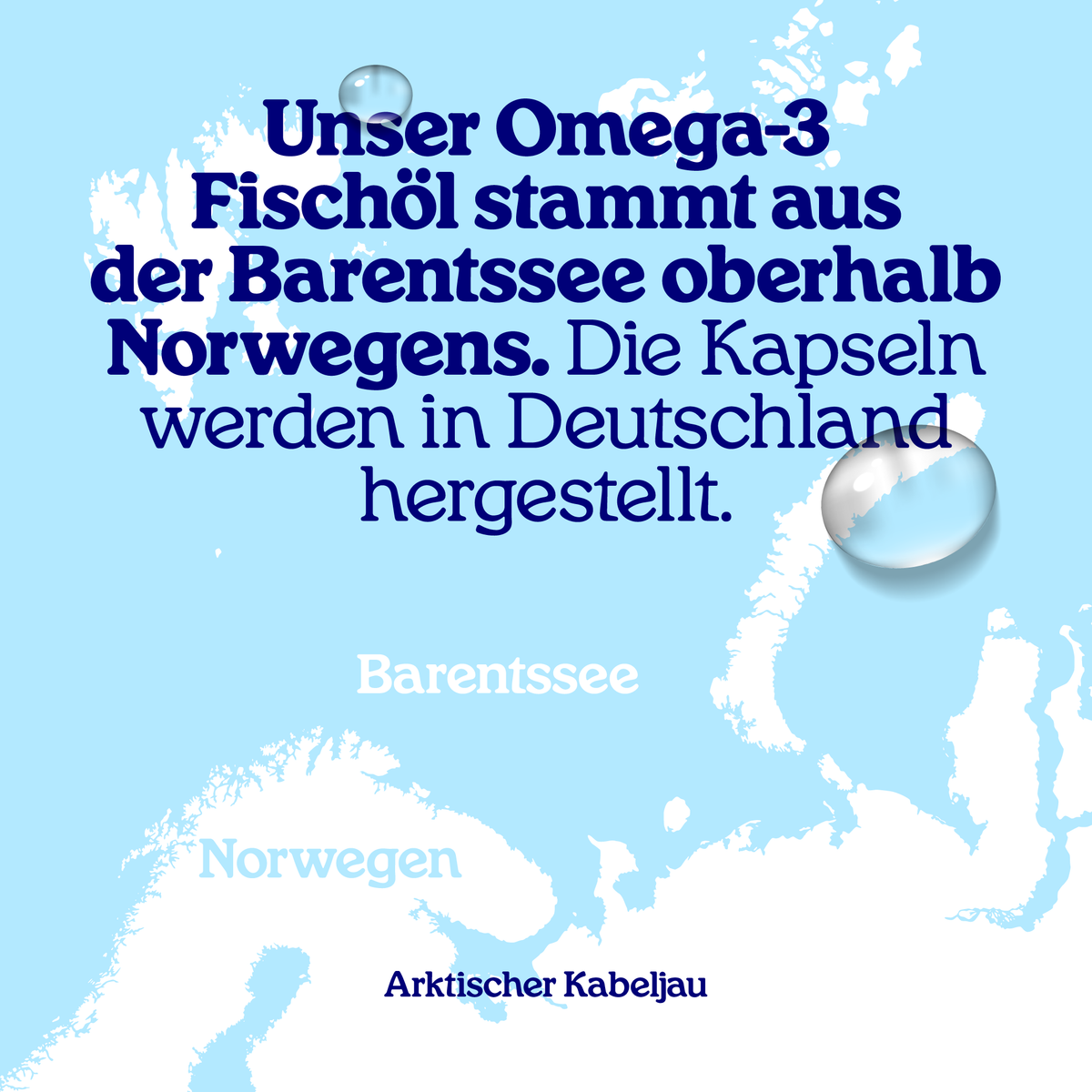 Arctic Blue | Omega 3 - Fischölkapseln für Hunde, Katzen & Pferde - MSC (90 kleine Kapseln)