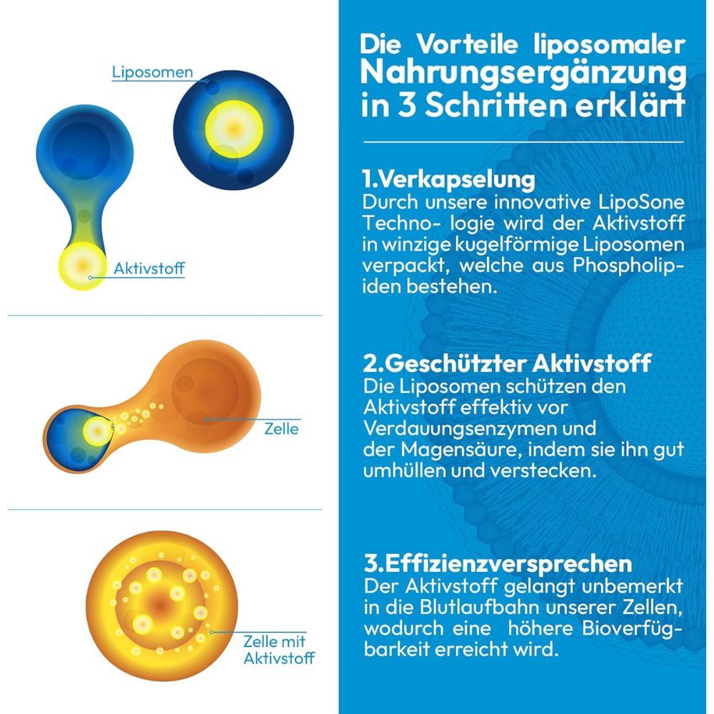 ActiNovo Cell Recovery Liposomal aus Quercetin, Fisetin und Coenzym Q10 · 250ml – Bild 4
