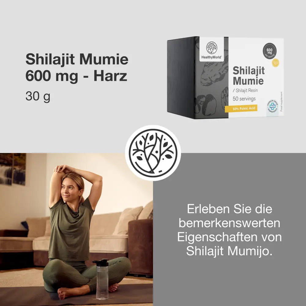 HealthyWorld Shilajit Mumie 600 mg · Harz zum Ausgleich von Körper und Geist · 30 g – Bild 4