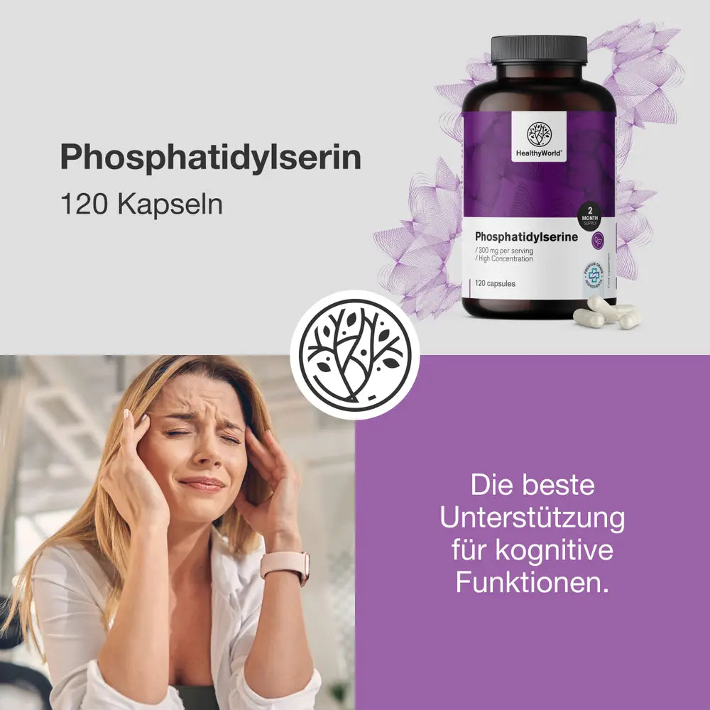 HealthyWorld Phosphatidylserin zur Unterstützung in stressigen Zeiten · 120 Kapseln – Bild 4