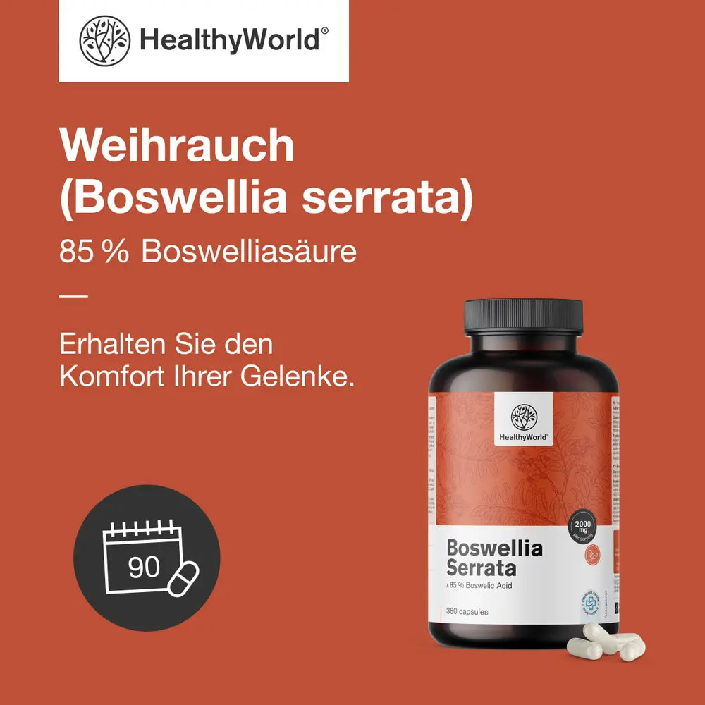 HealthyWorld Weihrauch (Boswellia serrata) · 85 % Boswelliasäure · 360 Kapseln – Bild 3