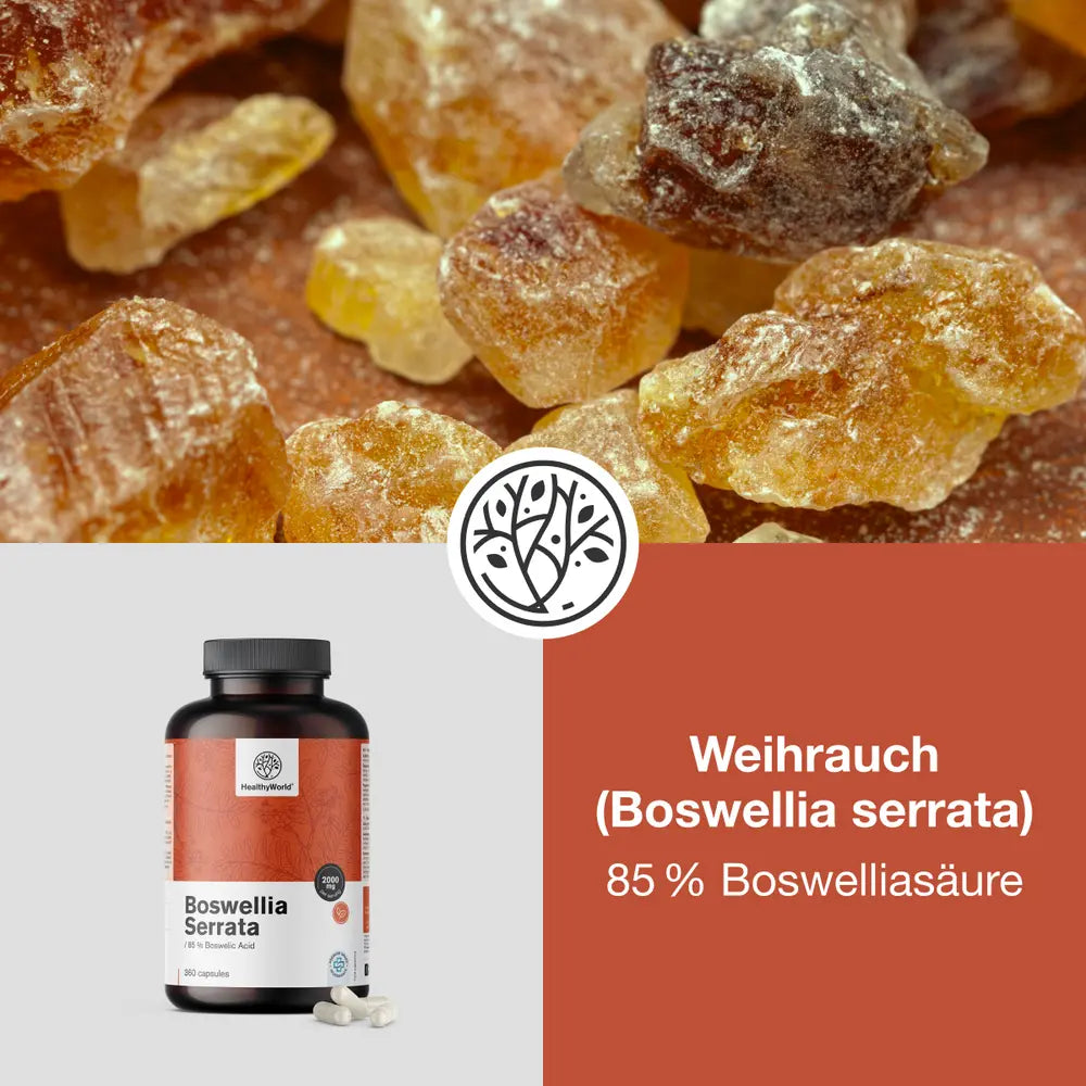 HealthyWorld Weihrauch (Boswellia serrata) · 85 % Boswelliasäure · 360 Kapseln – Bild 4