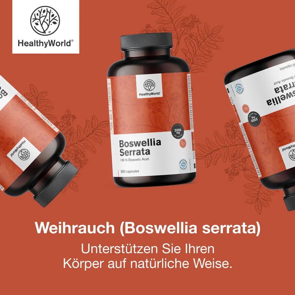 HealthyWorld Weihrauch (Boswellia serrata) · 85 % Boswelliasäure · 360 Kapseln – Bild 5