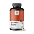 HealthyWorld | Weihrauch (Boswellia serrata) – 85 % Boswelliasäure – 360 Kapseln
