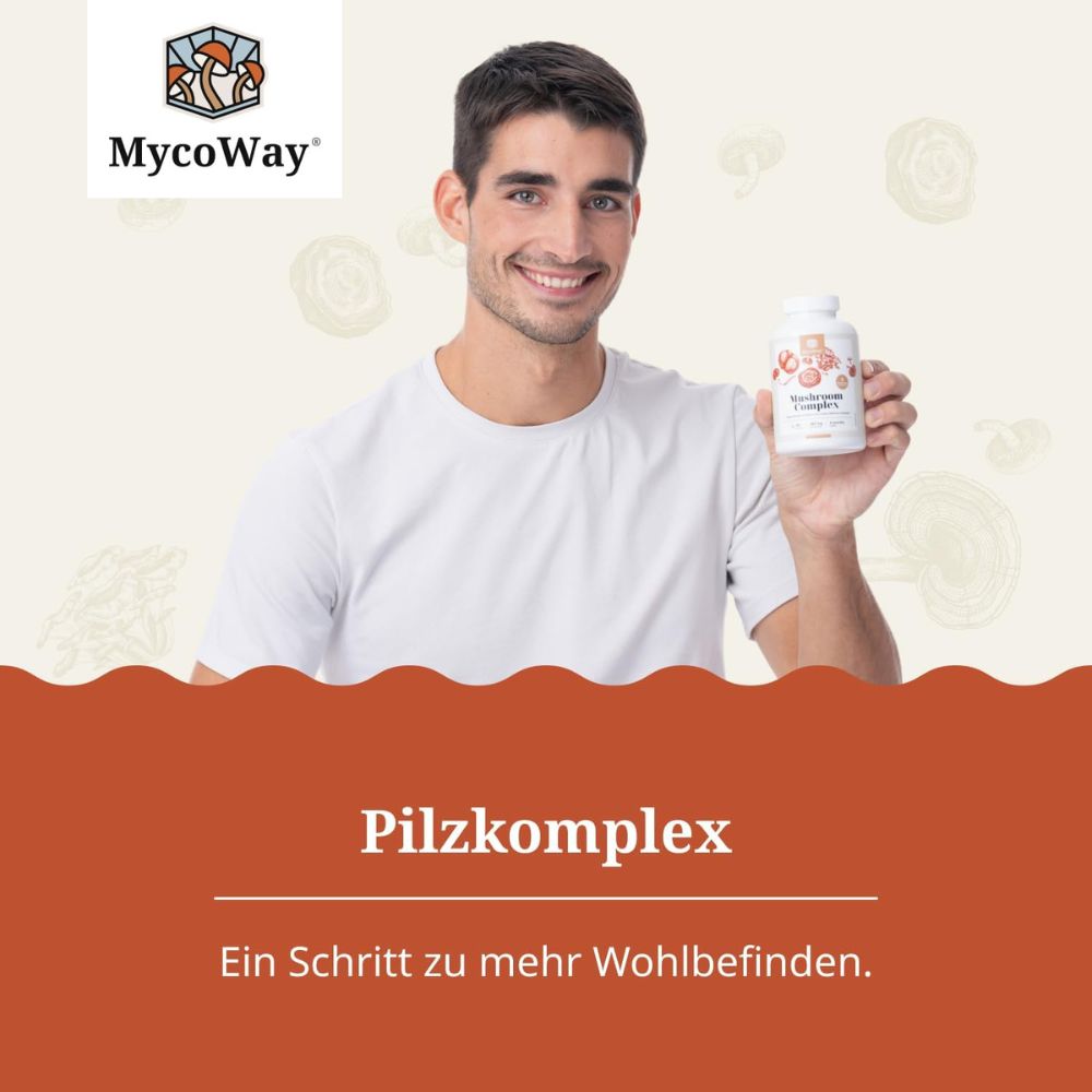 MycoWay Pilzkomplex zur Stärkung und Unterstützung des Körpers · 180 Kapsel – Bild 3