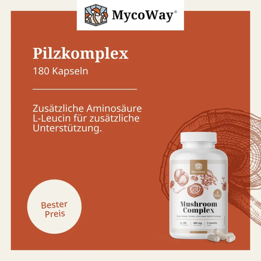 MycoWay Pilzkomplex zur Stärkung und Unterstützung des Körpers · 180 Kapsel – Bild 6
