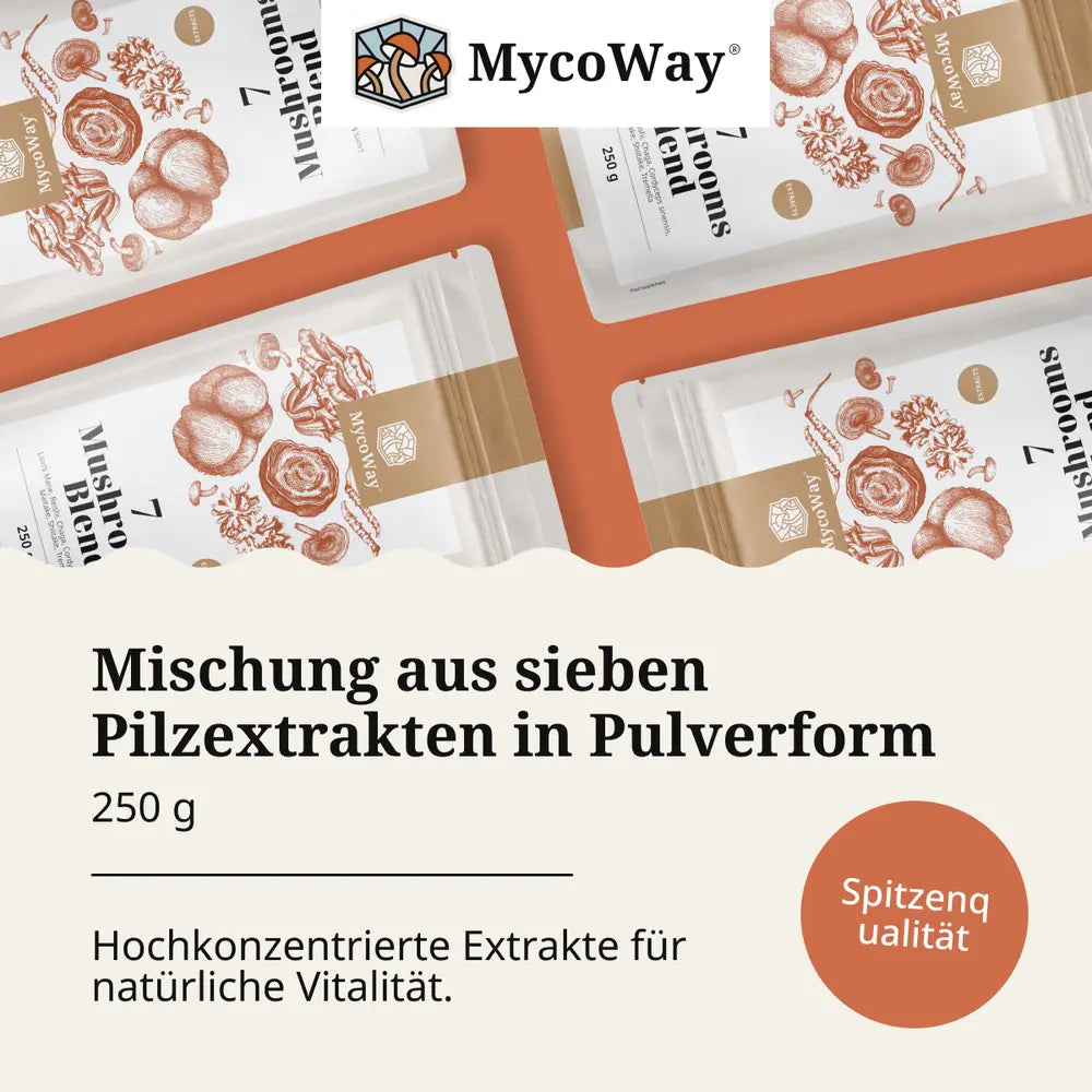 MycoWay Mischung aus sieben Pilzextrakten · 250g Pulver – Bild 6