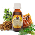 Schloßwald-Bienengut | Propolix Atemelixier - 125 ml