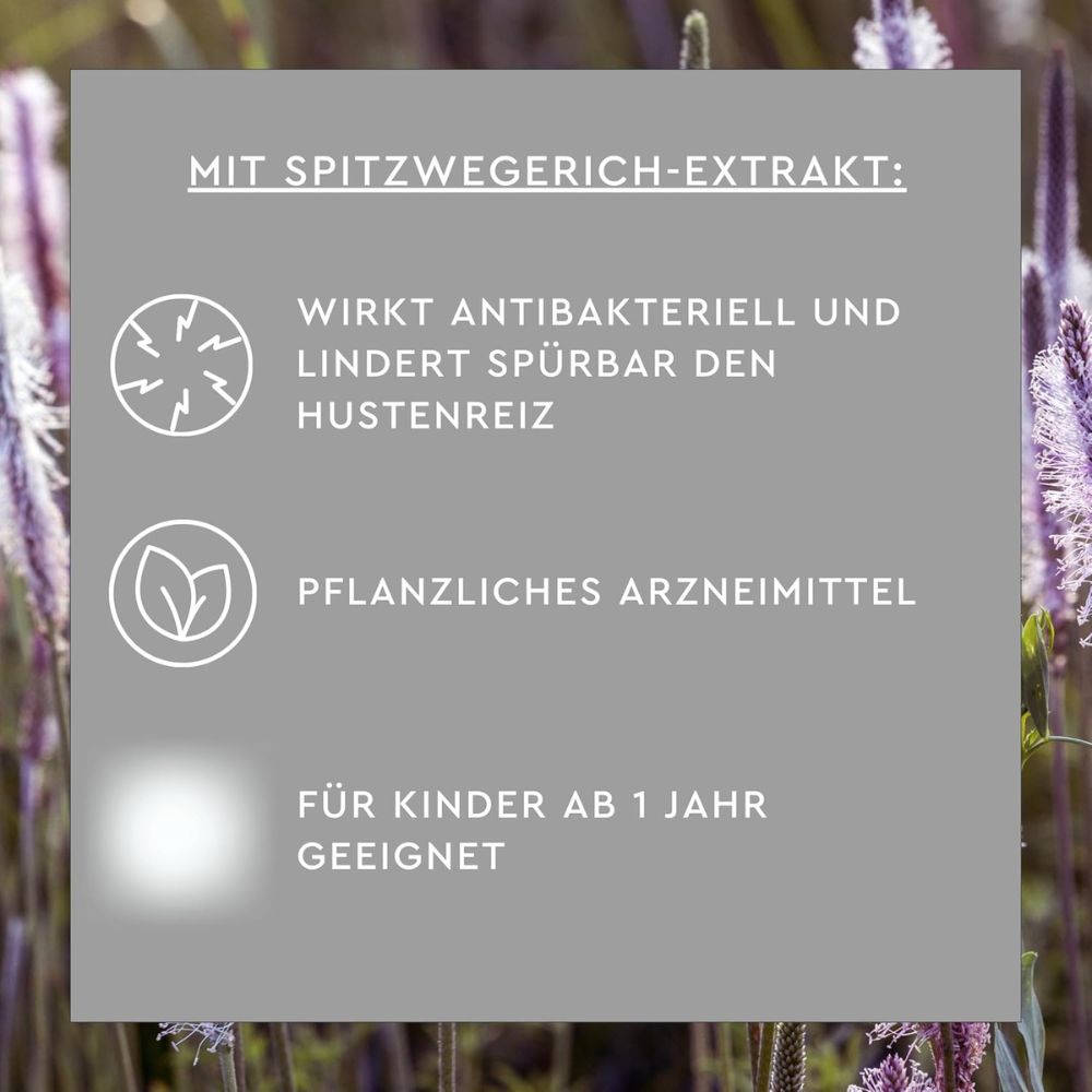 Sunlife Spitzwegerich Hustensaft V – Bild 3