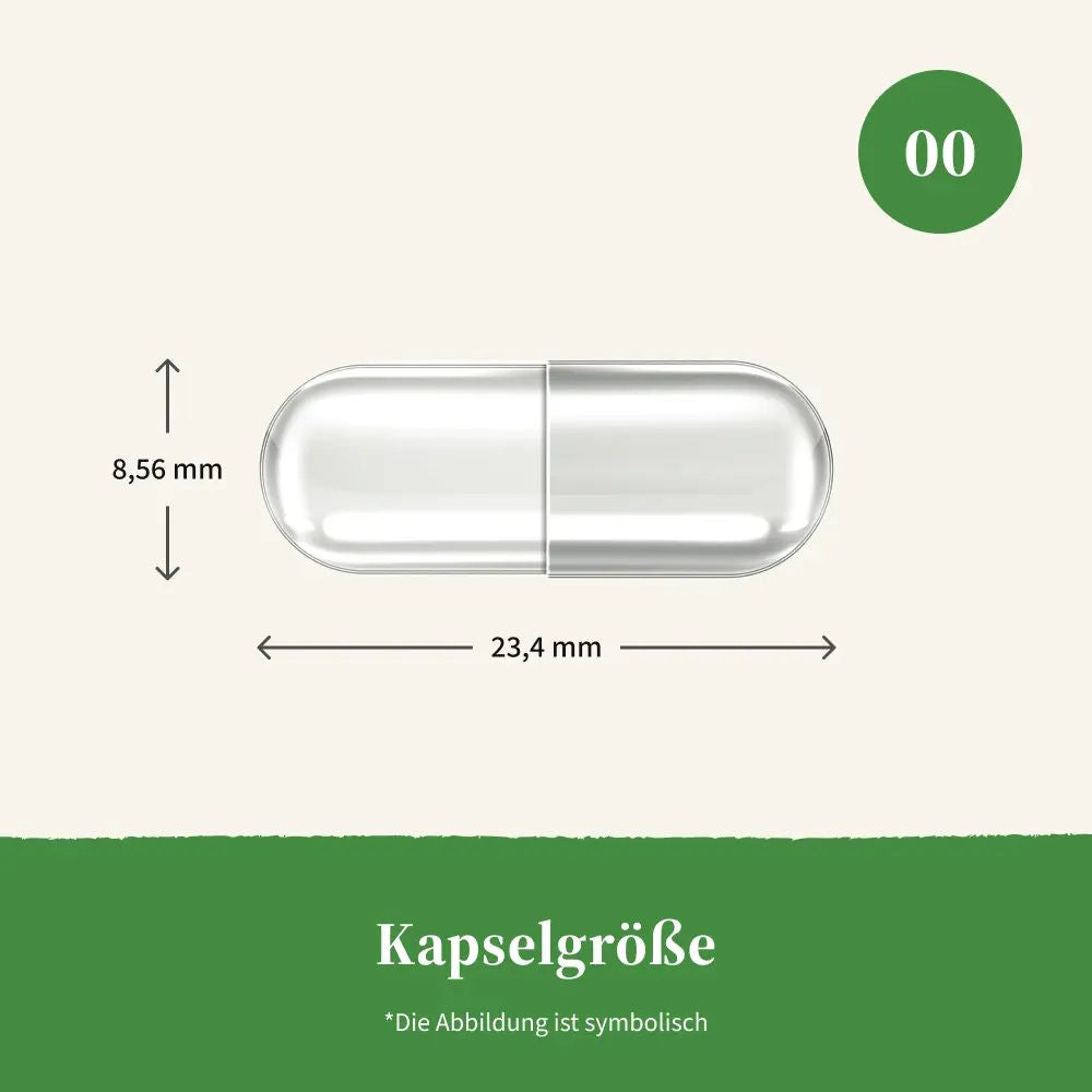 Purely VenoxSupport Active · für müde und schwere Beine · 60 Kapseln – Bild 6